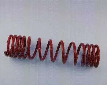 Комплект ходовой части, пружины TRISCAN купить