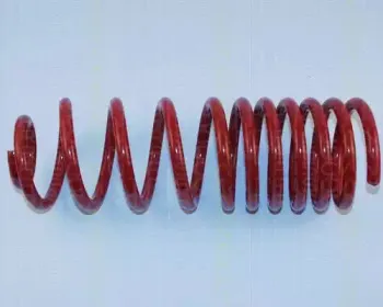 Комплект ходовой части, пружины TRISCAN купить