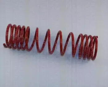 Комплект ходовой части, пружины TRISCAN купить