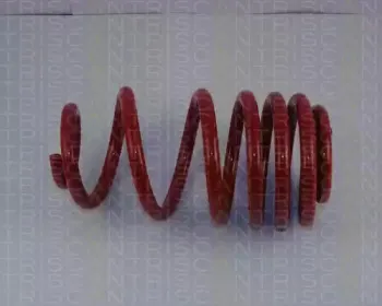 Комплект ходовой части, пружины TRISCAN купить