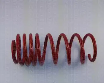 Комплект ходовой части, пружины TRISCAN купить