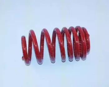 Комплект ходовой части, пружины TRISCAN купить