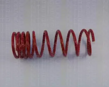 Комплект ходовой части, пружины TRISCAN купить