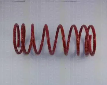 Комплект ходовой части, пружины TRISCAN купить