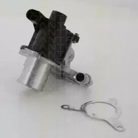 Клапан возврата ОГ TRISCAN купить