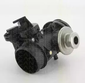 Клапан возврата ОГ TRISCAN купить