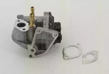 Клапан возврата ОГ TRISCAN купить