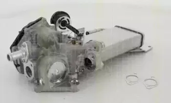 Клапан возврата ОГ TRISCAN купить