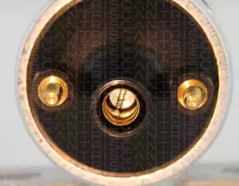 Катушка зажигания TRISCAN купить