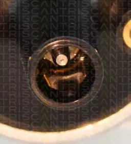 Катушка зажигания TRISCAN купить