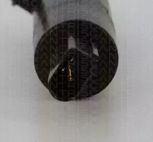 Водяной насос, система очистки окон TRISCAN купить