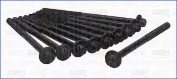 Комплект болтов головки цилидра TRISCAN купить