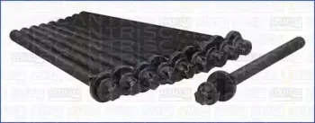 Комплект болтов головки цилидра TRISCAN купить