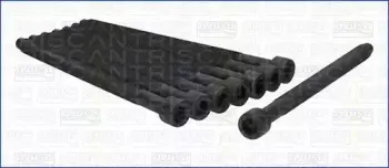 Комплект болтов головки цилидра TRISCAN купить