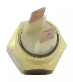 Термовыключатель, вентилятор радиатора BERU купить