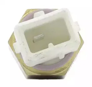 термовыключатель, сигнальная лампа охлаждающей жидкости BERU купить