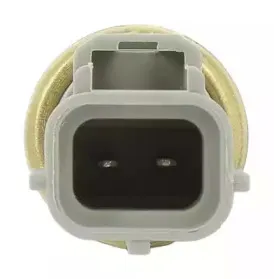 Датчик, температура охлаждающей жидкости BERU купить