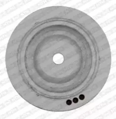Ременный шкив, коленчатый вал SNR купить