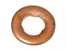 Шайба тепловой защиты, система впрыска PAYEN купить