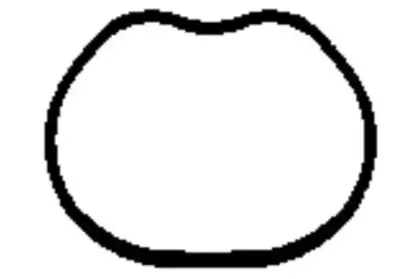 Прокладка, впускной коллектор PAYEN купить