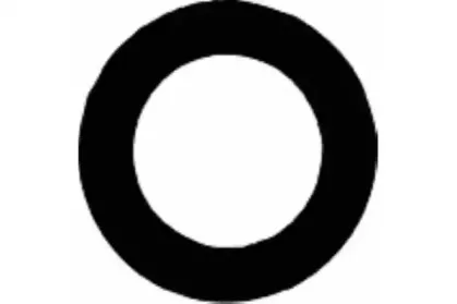 Прокладка, крышка головки цилиндра PAYEN купить