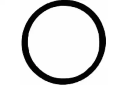 Прокладка, крышка головки цилиндра PAYEN купить