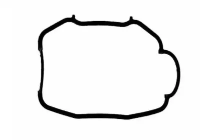 Прокладка, крышка головки цилиндра PAYEN купить