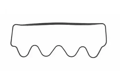 Прокладка, крышка головки цилиндра PAYEN купить