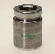 Поршень, корпус скобы тормоза BUDWEG CALIPER купить
