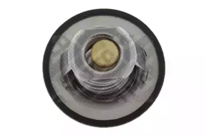 Термостат, охлаждающая жидкость MAPCO купить