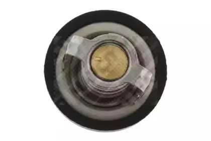 Термостат, охлаждающая жидкость MAPCO купить