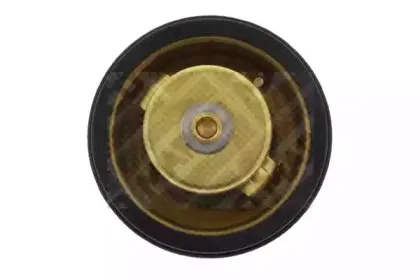 Термостат, охлаждающая жидкость MAPCO купить