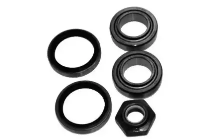 Комплект підшипників роликових конічних MOOG купить