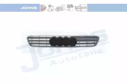 Решетка радиатора JOHNS купить