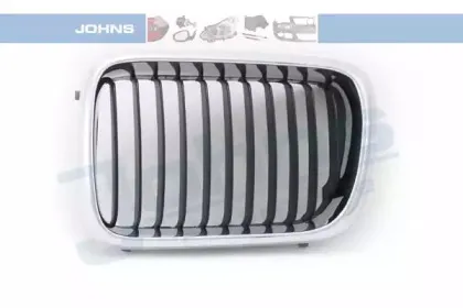 Решетка радиатора JOHNS купить