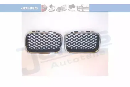 Решетка радиатора JOHNS купить