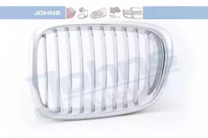 Решетка радиатора JOHNS купить