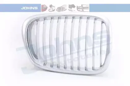Решетка радиатора JOHNS купить