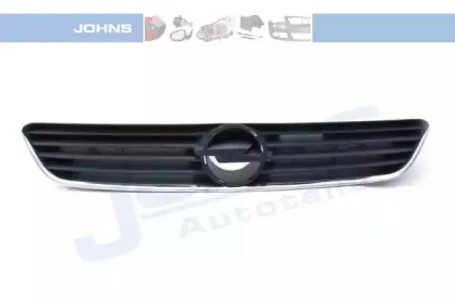 Решетка радиатора JOHNS купить