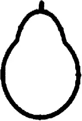 450139H CORTECO Прокладка впускного колектора CORTECO купить