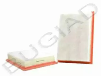 Воздушный фильтр BUGIAD купить