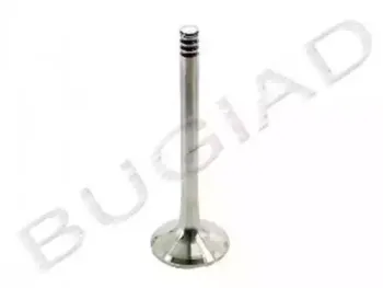 Выпускной клапан BUGIAD купить