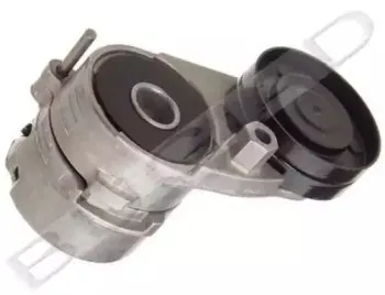 Натяжная планка, поликлиновой ремень BUGIAD купить