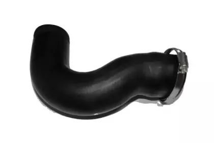 Трубка нагнетаемого воздуха BUGIAD купить