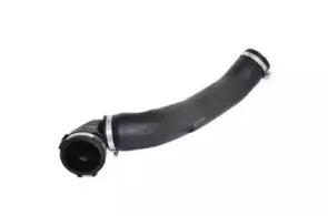 Трубка нагнетаемого воздуха BUGIAD купить