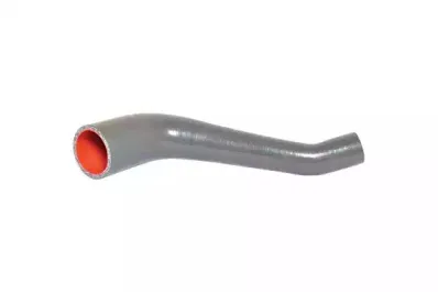 Трубка нагнетаемого воздуха BUGIAD купить