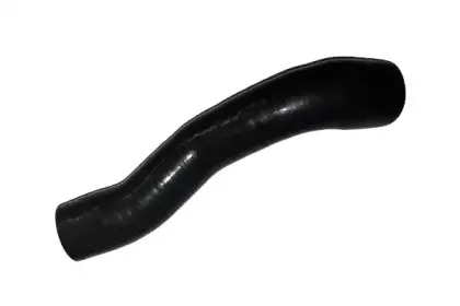 Трубка нагнетаемого воздуха BUGIAD купить