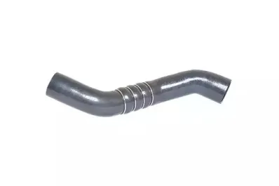 Трубка нагнетаемого воздуха BUGIAD купить