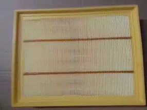 Воздушный фильтр BUGIAD купить