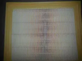 Воздушный фильтр BUGIAD купить